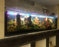 محوطه بیرونی